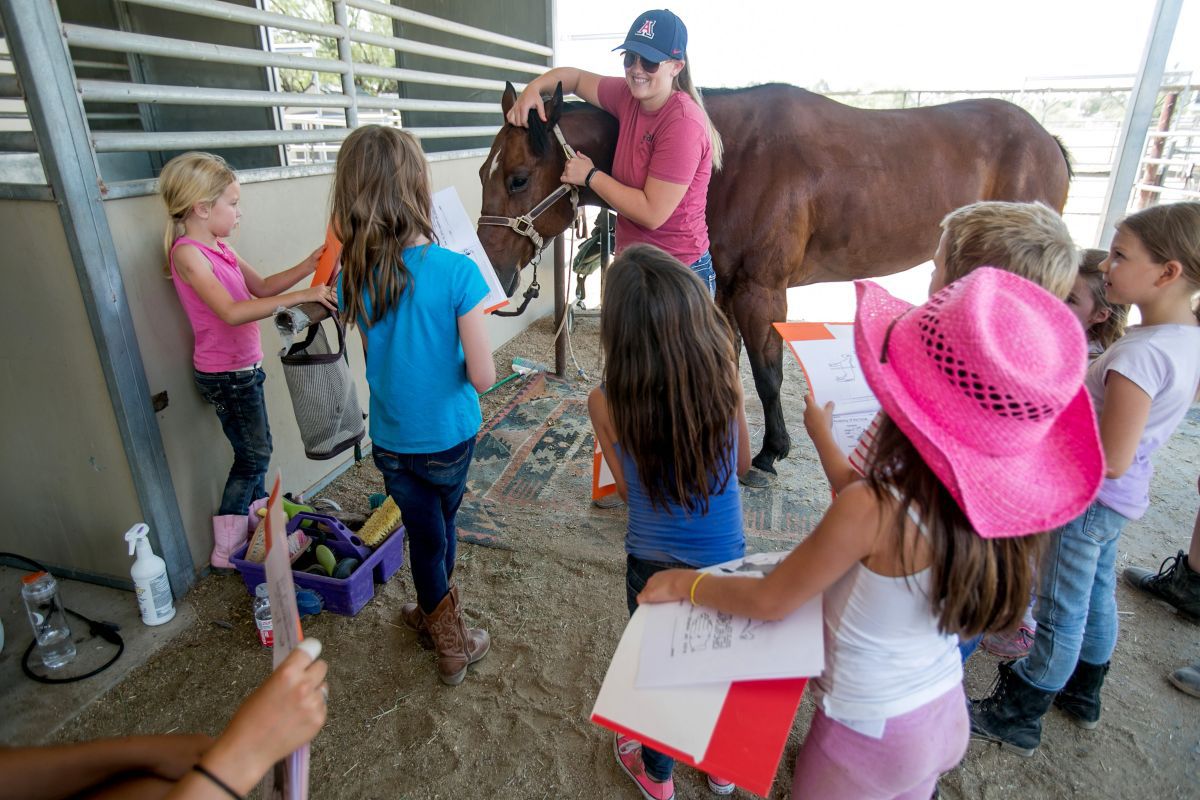 Therapeutic Ranch for Animals and Kids